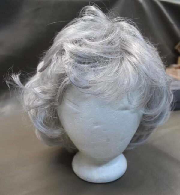 Eva Gabor Premium Silver Wig by HairUWear Box Wears