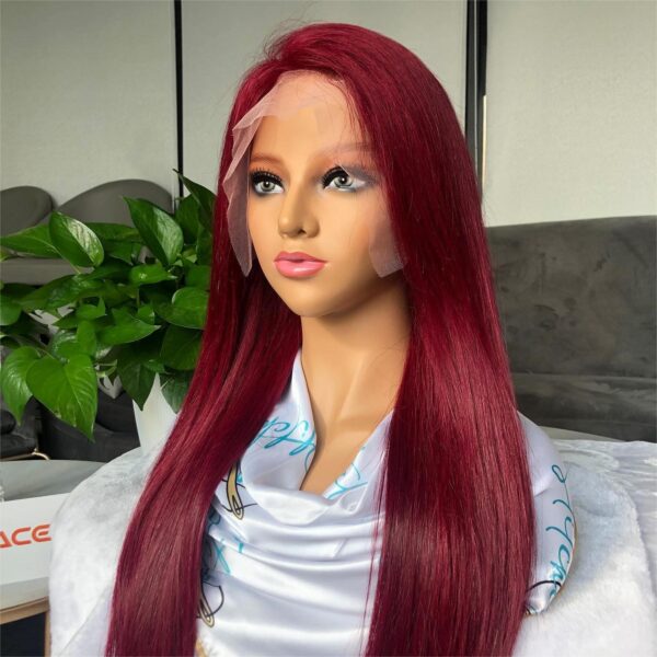 Burgundy Color Straight Wig 360 HD Transparent Lace Wigs 100% Human Hair For Black Women - 360 Lace / 180% / 22inch