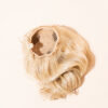 vegan fiber messy bun - champagne.