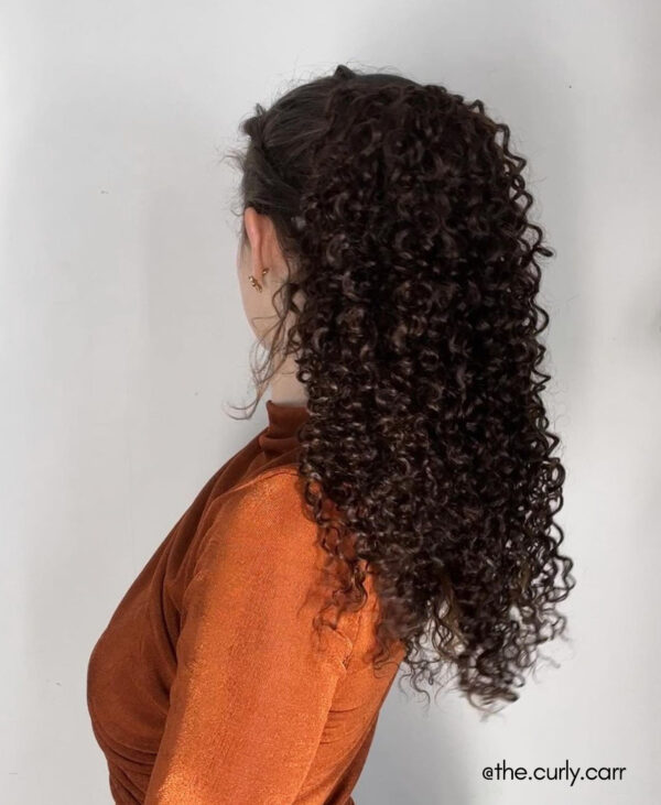 curly ponytail - #2 chocolate brown. - 20 inches