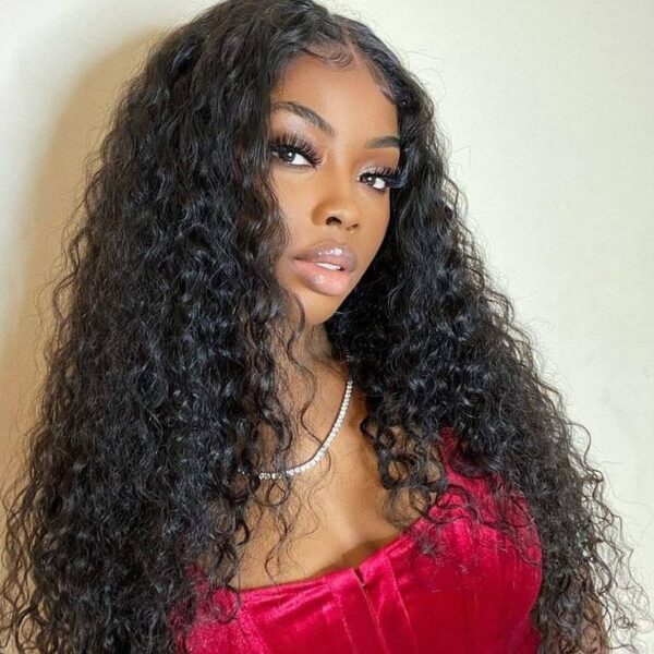Jerry Curly Natural Black Wig Human Hair Wig Lace Front Wigs Fre-Cut Wigs 150% Density - 4x4 Lace / No / 24 inch
