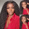 FABA Wigs Best 360 Transparent Lace Front Wigs Pre Cut Black Curly Wig - 360 Lace / 180% / 20inch