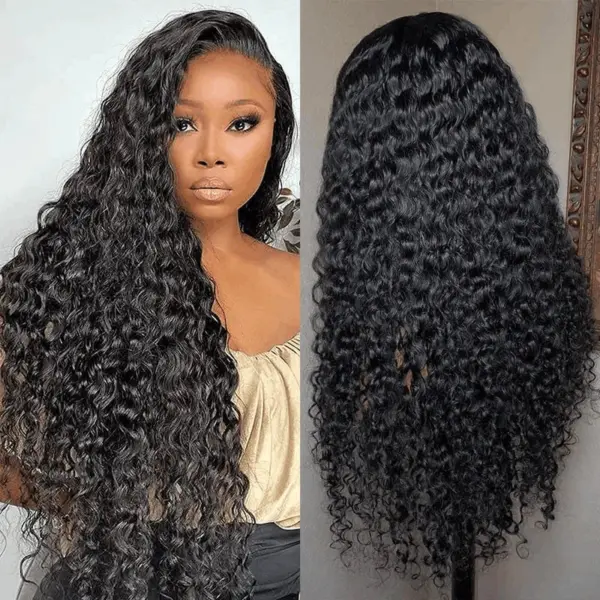 FABA Wigs Best 360 Transparent Lace Front Wigs Pre Cut Black Curly Wig - 360 Lace / 180% / 20inch