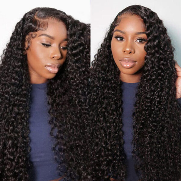 Jerry Curly Natural Black Wig Human Hair Wig Lace Front Wigs Fre-Cut Wigs 150% Density - 4x4 Lace / No / 24 inch