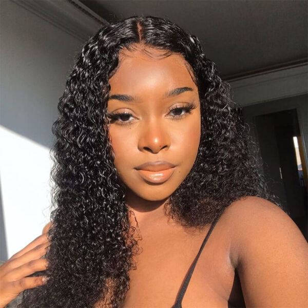 FABA Wigs Best 360 Transparent Lace Front Wigs Pre Cut Black Curly Wig - 360 Lace / 180% / 20inch