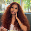 BOGO Sunber Reddish Brown Wet And Wavy 13*4 Lace Front Wigs Water Wave Pre-Plucked Human Hair Wigs - 16 / 13*4 Lace Frontal