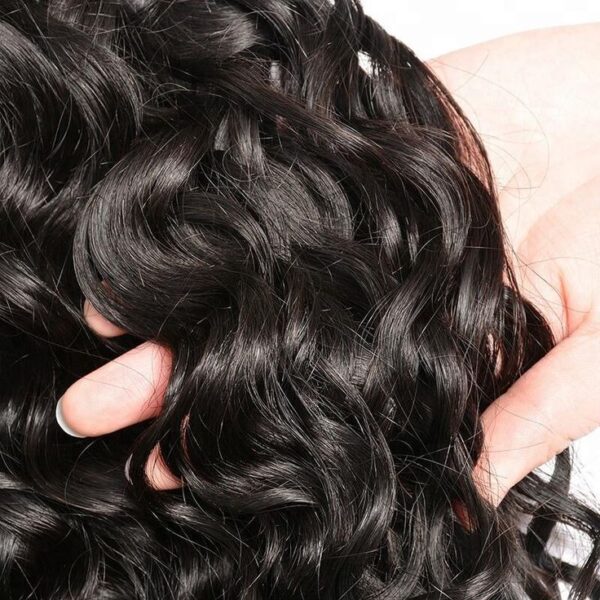 Natural Black Water Wave Lace Front Wig Pre-Cut Glueless Wig Ready Go Human Hair Wigs - 5x5 / 180% / 24 inch
