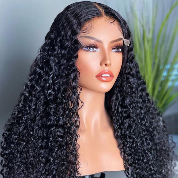 Natural Black Curly Wig 4x4/13x4/13x6 Transparent Lace Front Wigs Water Wave Human Hair - 13x4 Lace / Yes（+） / 22inch