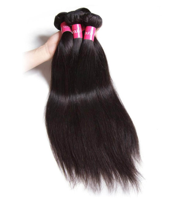 Sunber Hair Peruvian Straight Hair Bundles 3 Bundles With 4x4 inch Swiss Lace Closure, 8"-30" in stocks - 20 22 24+16