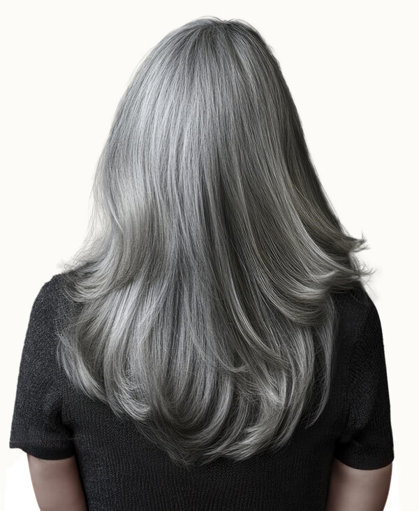 tape-in hair extensions salt & pepper. - 14"/50g / Invisible